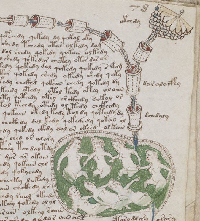 Voynich Manuscript folio 78r. Biological section illustration showing human figures in a green basin connected by pipe-like structures to other elements, with columns of unknown script to the left.
